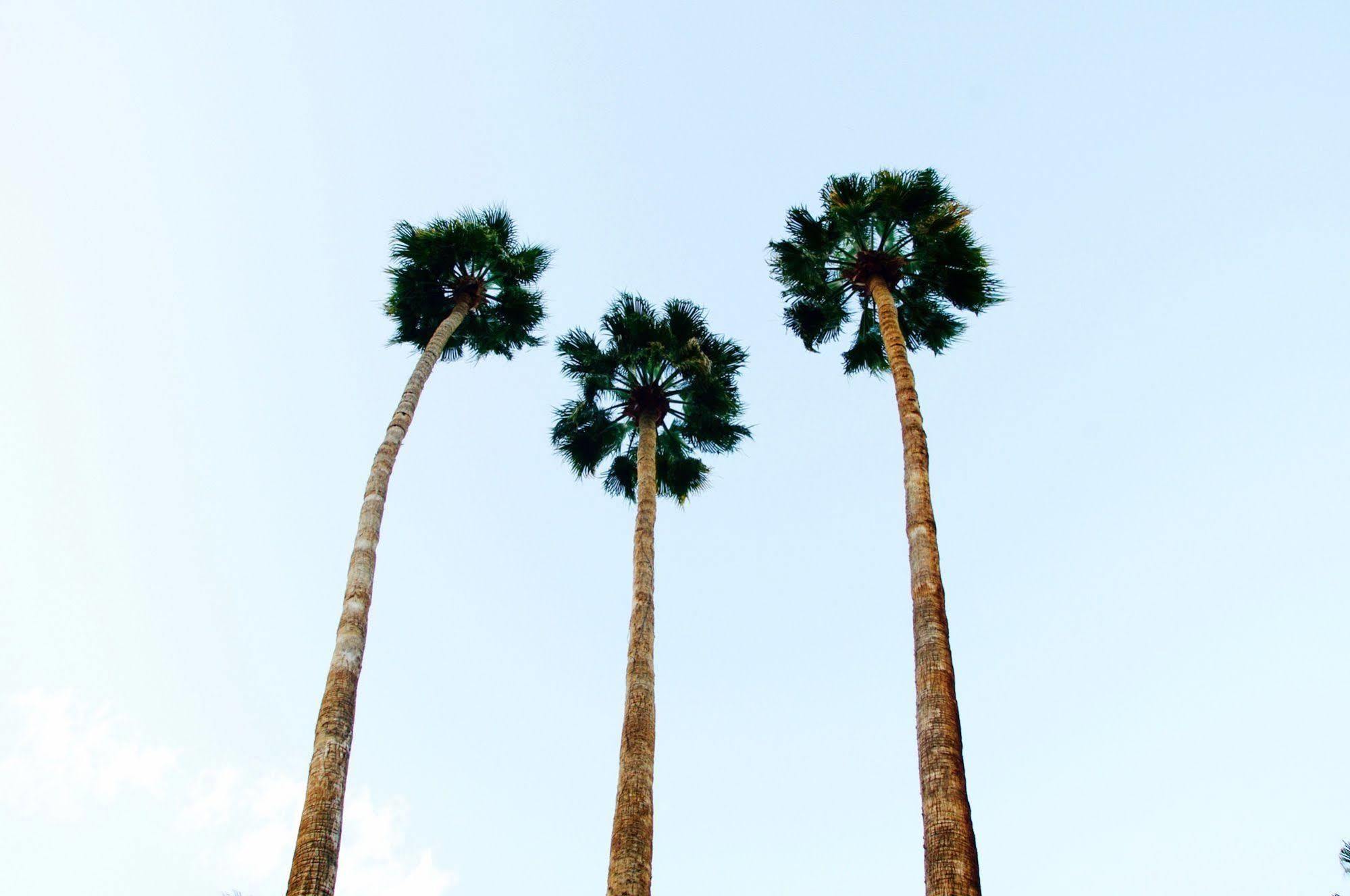Delos Reyes Palm Springs Exterior foto