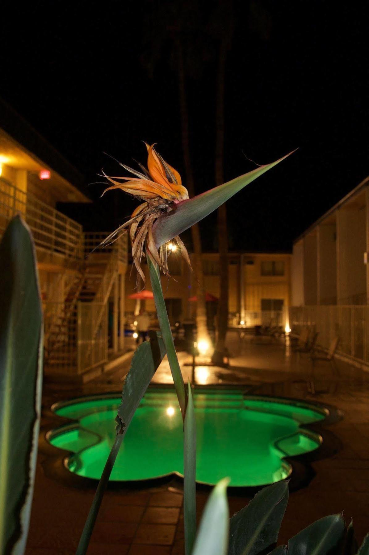 Delos Reyes Palm Springs Exterior foto