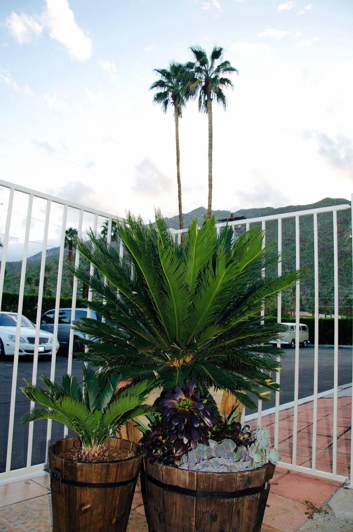 Delos Reyes Palm Springs Exterior foto